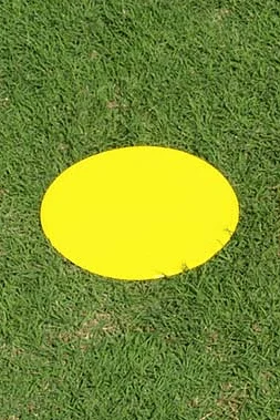 2026_06_30_410386